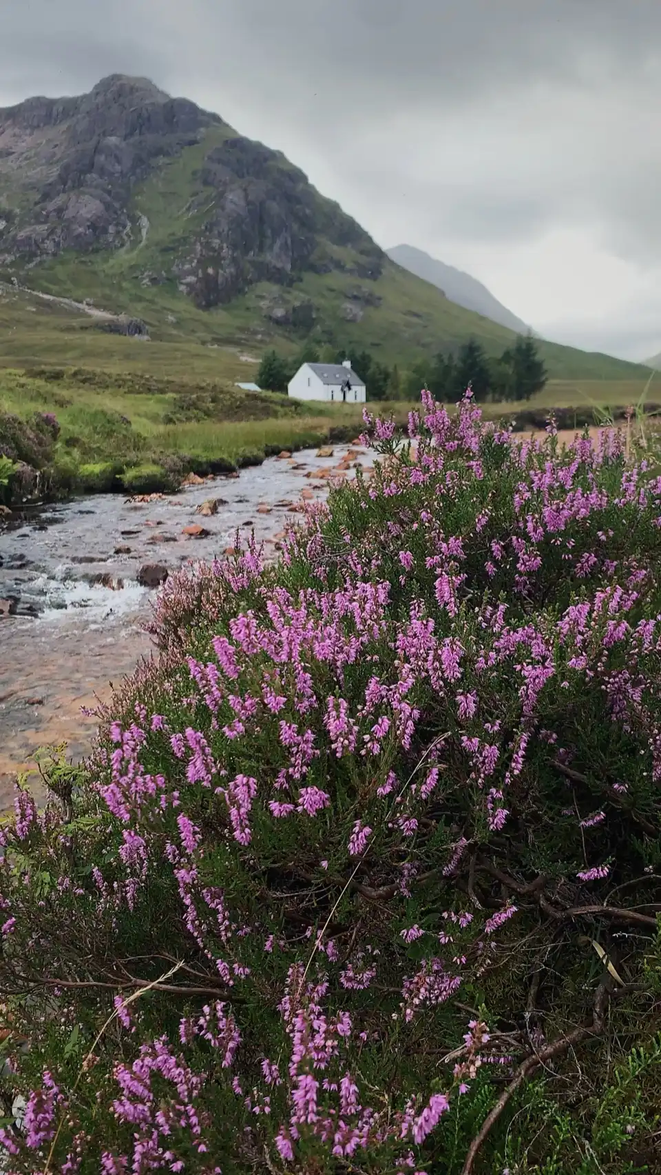 Glencoe