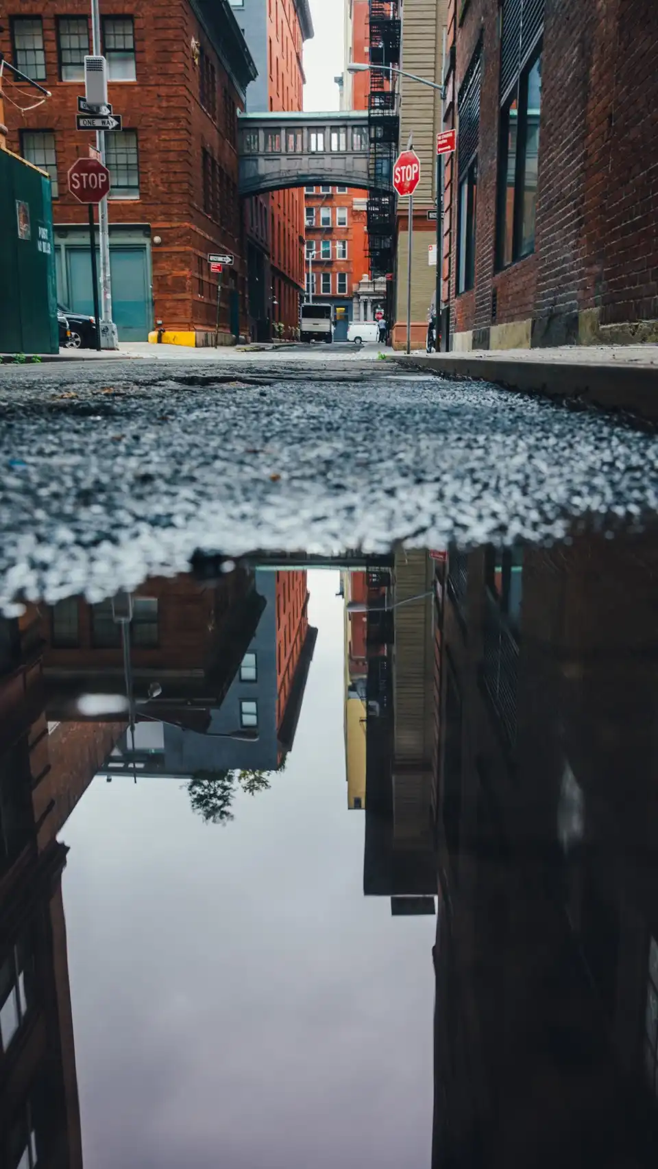 Tribeca