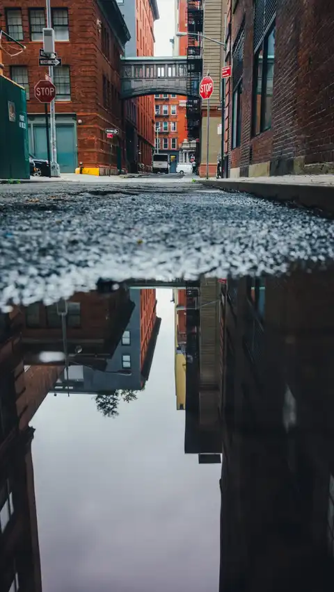 Photo of Tribeca