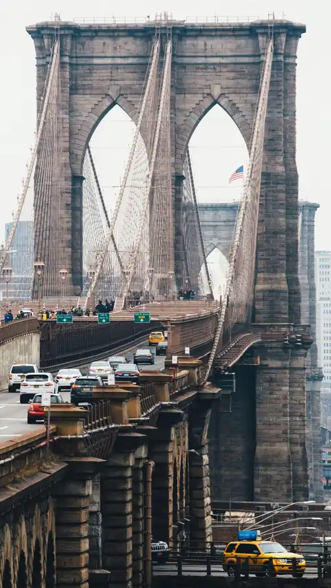 Photo of Dumbo