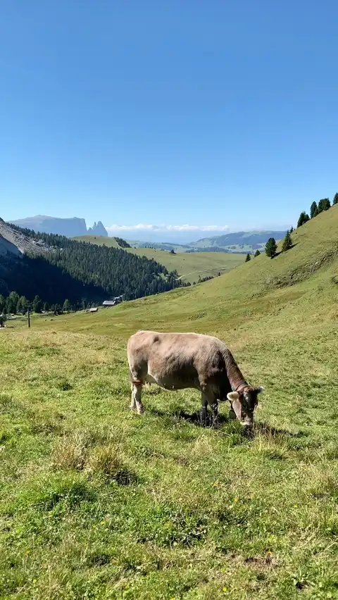 Photo of Selva di Val Gardena