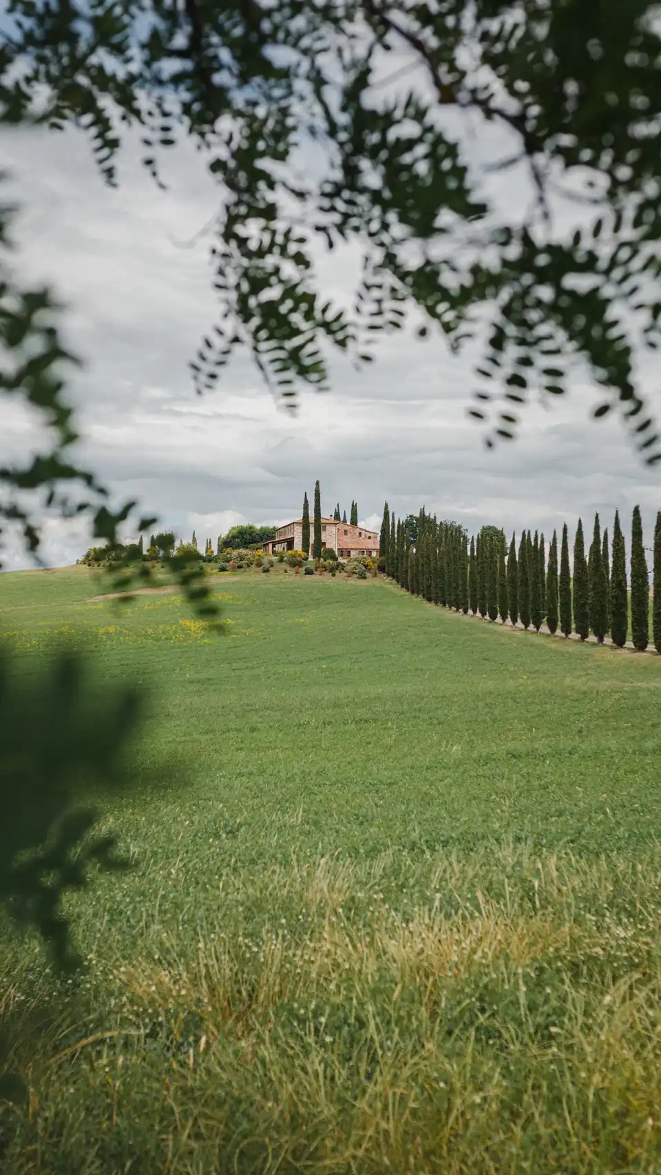 Castiglione d'Orcia