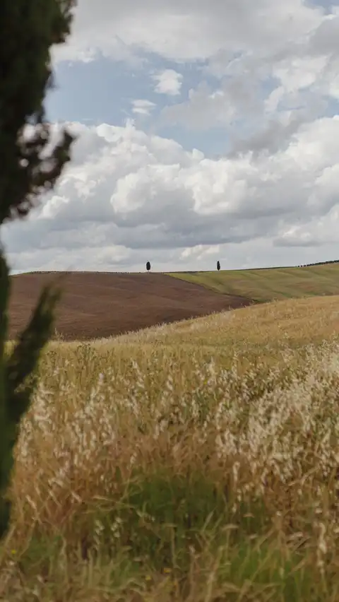 Photo of San Quirico d'Orcia