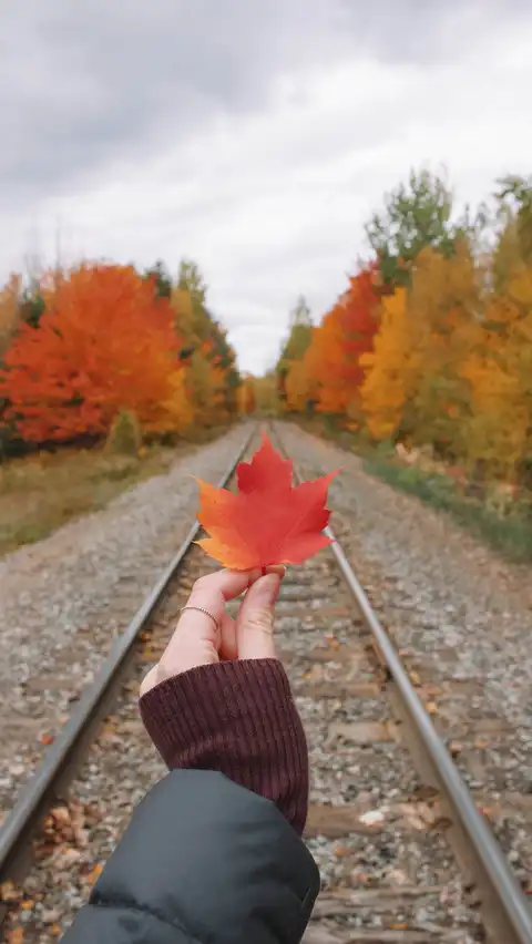 Photo of Trois-Rivières