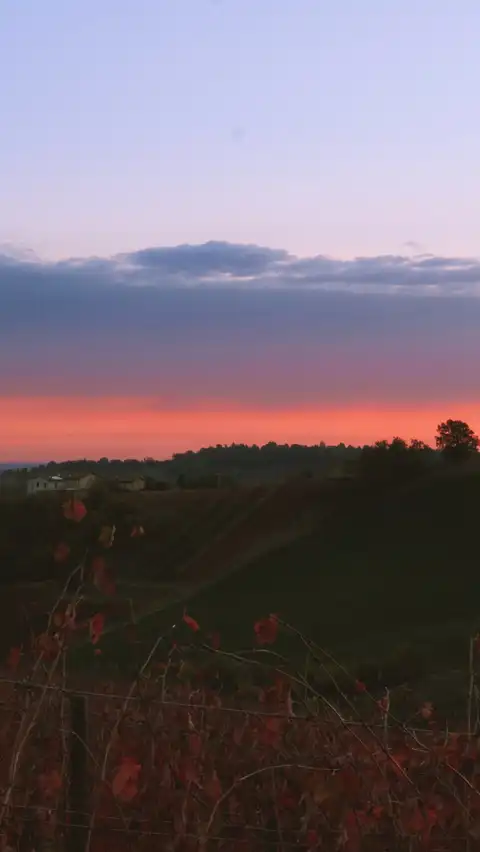 Photo of Emilia-Romagna