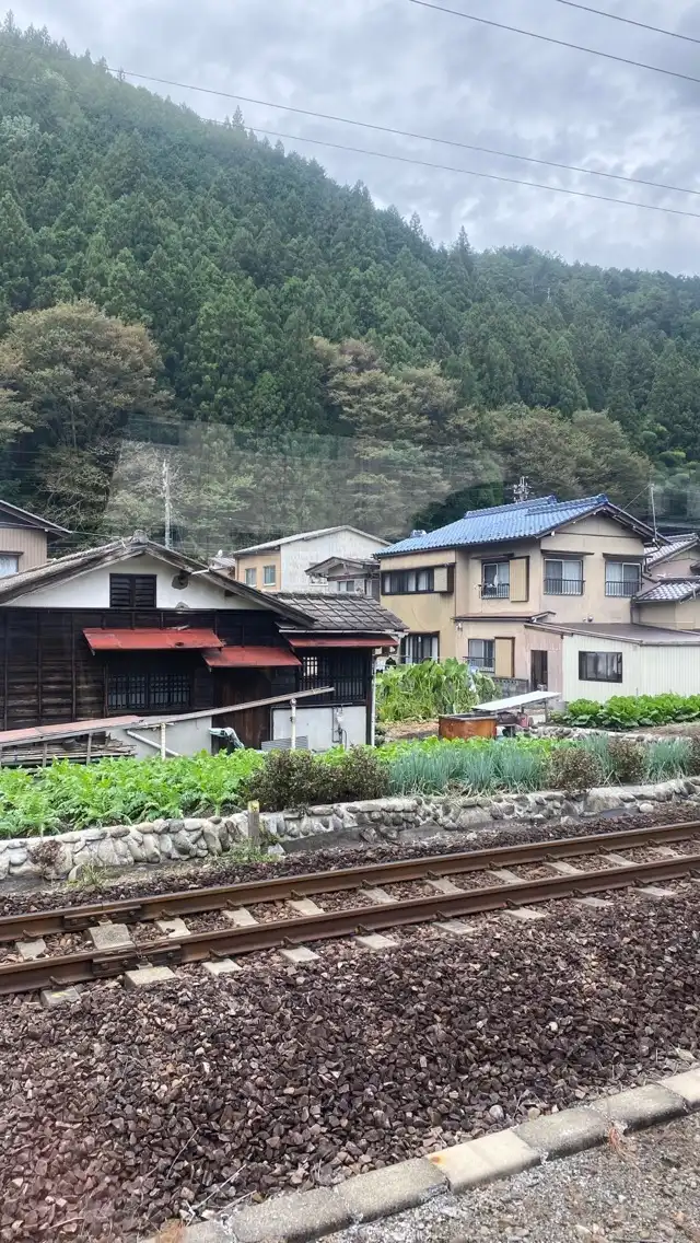 Photo of Gero