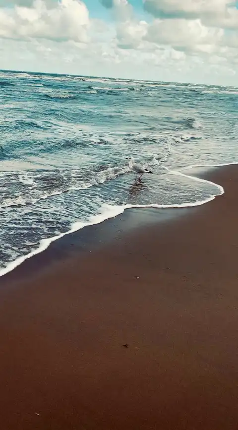 Photo of Katwijk aan Zee
