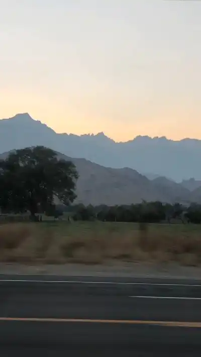 Photo of Lone Pine