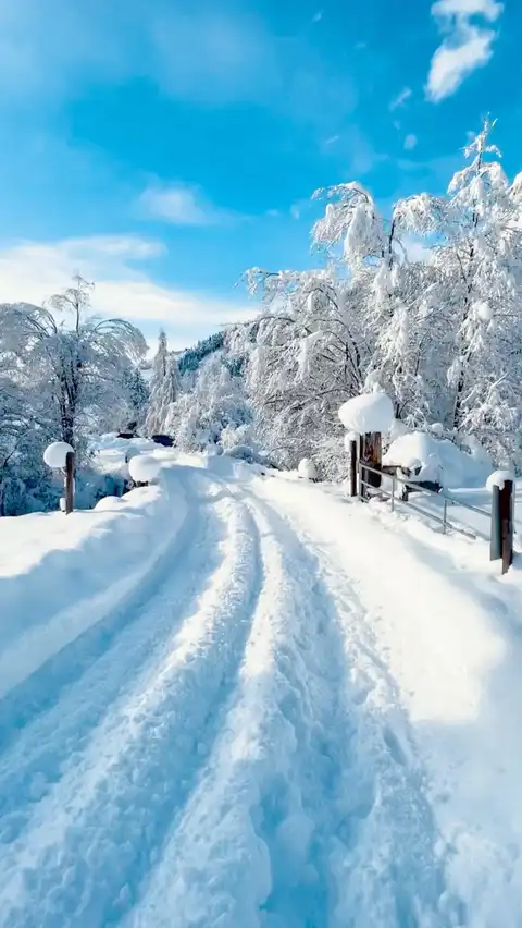 Photo of Grisons