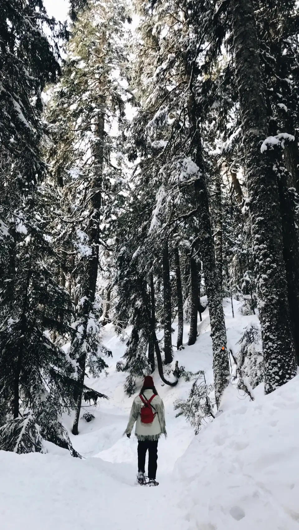 North Vancouver
