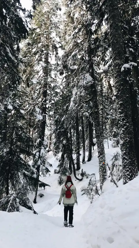 Photo of North Vancouver