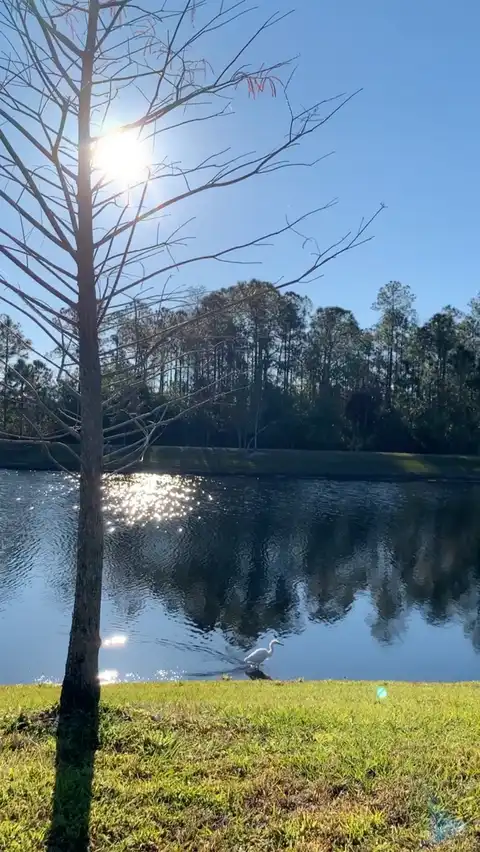 Photo of Lake County