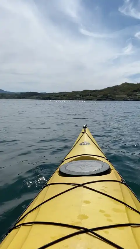 Photo of Morar