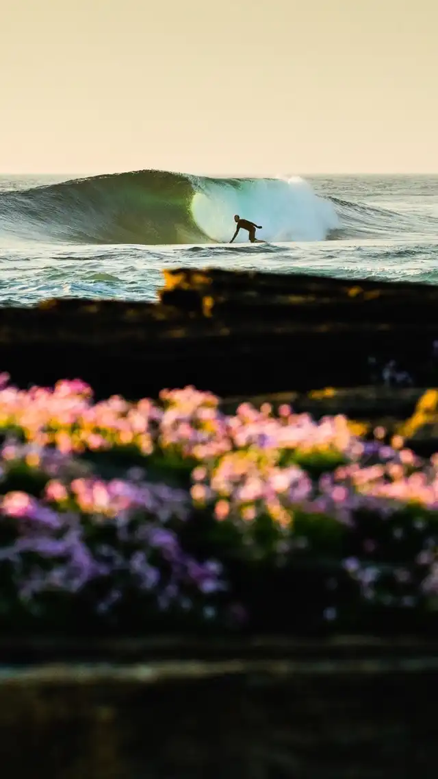 Photo of Thurso