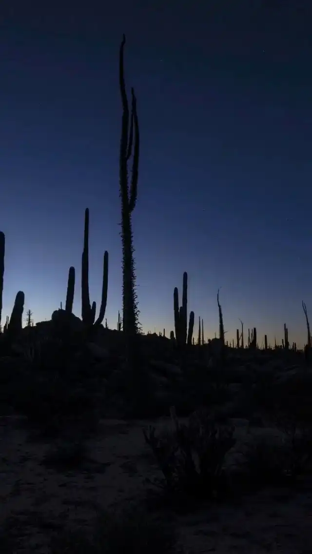 Baja California