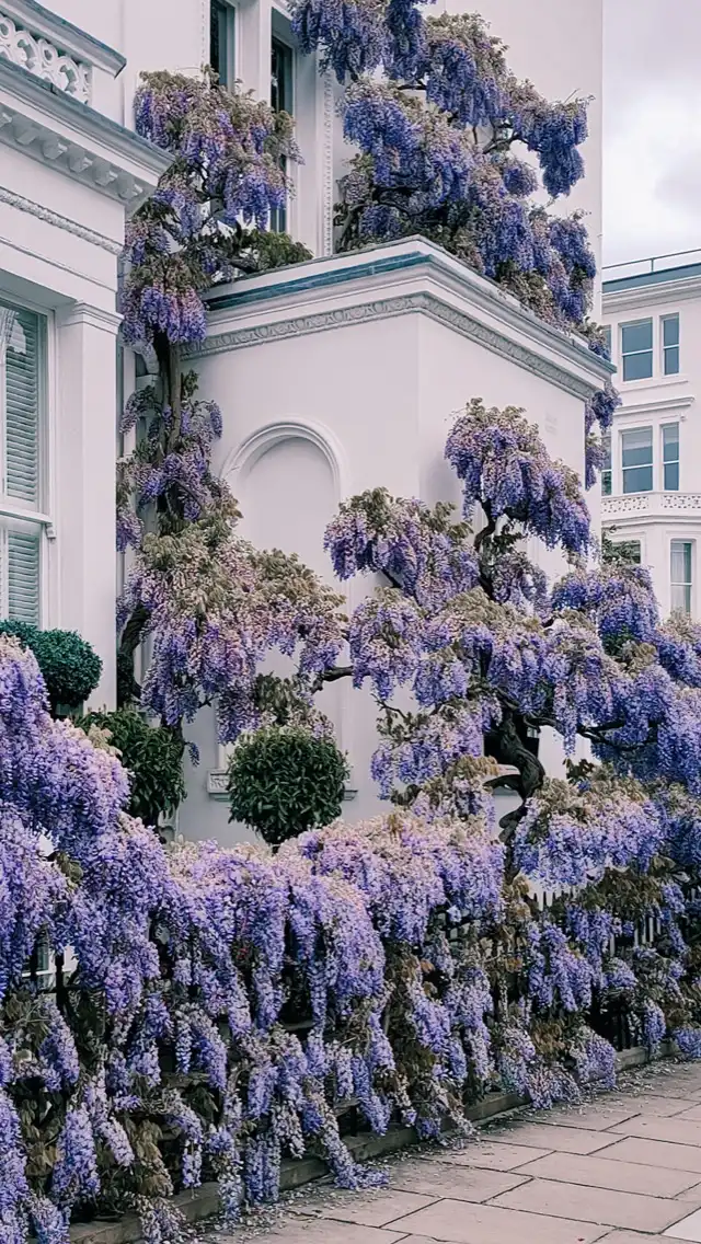 Photo of Kensington