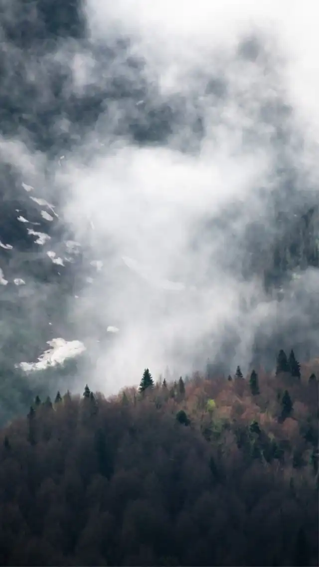 Photo of Samegrelo-Zemo Svaneti