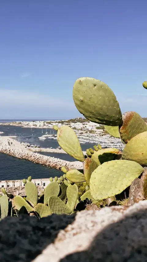 Photo of Santa Maria di Leuca
