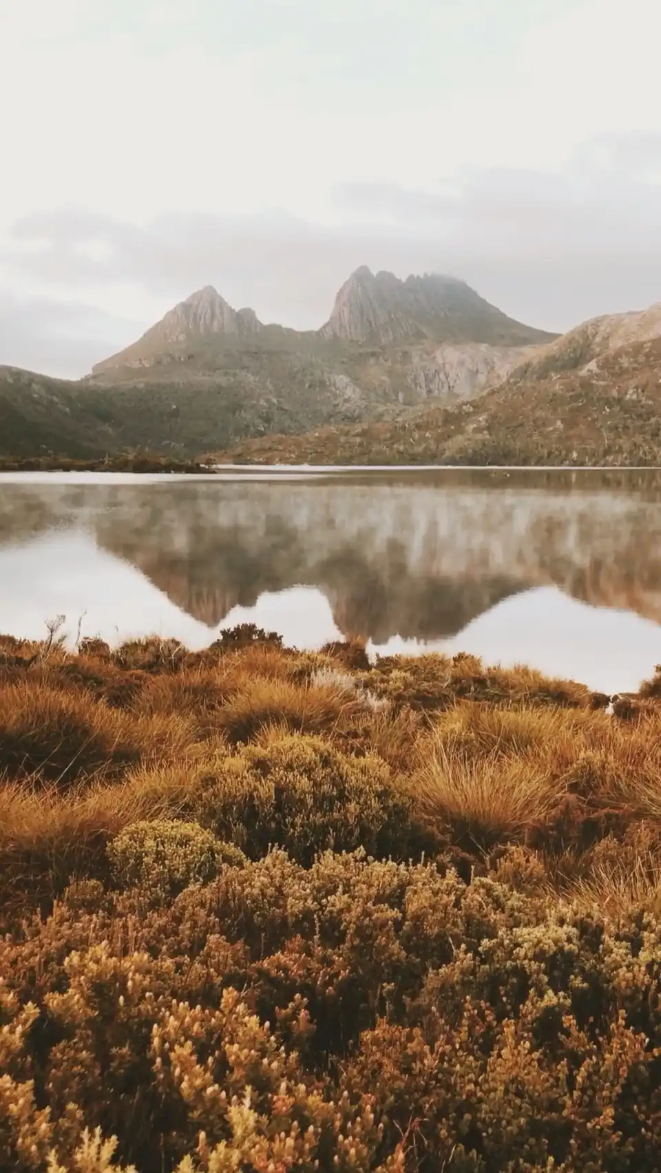 Tasmania