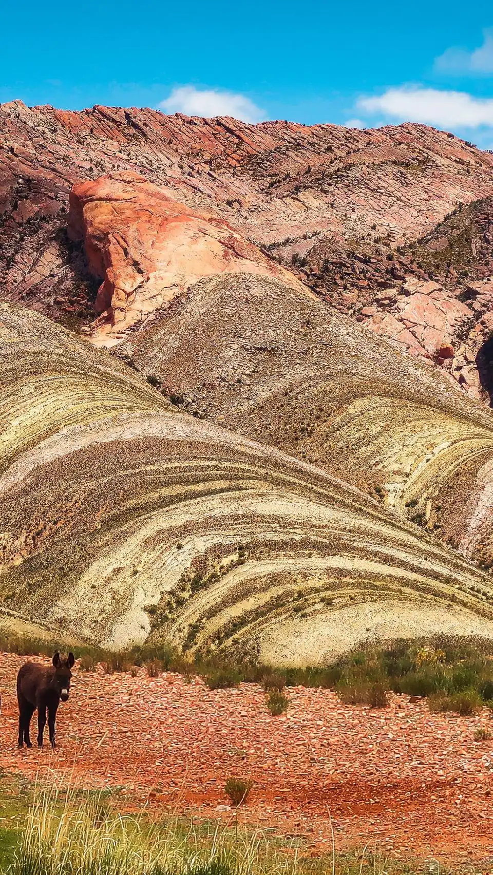 San Salvador de Jujuy