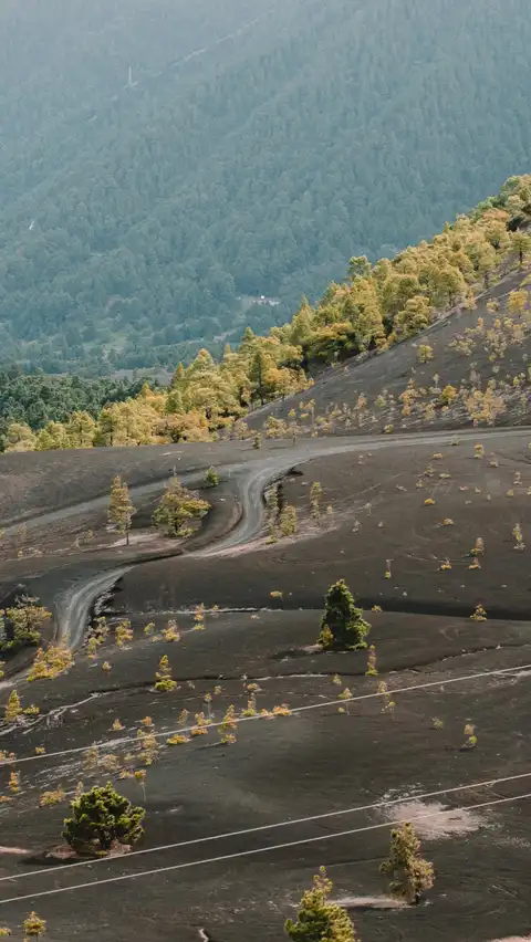 Photo of La Palma