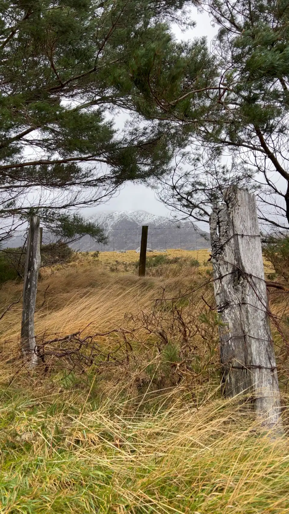Capel Curig