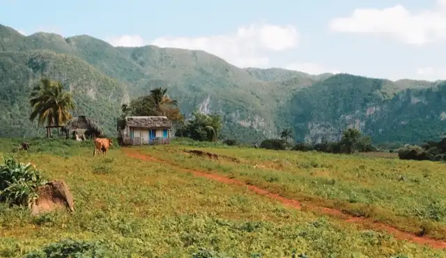 Photo of Vinales