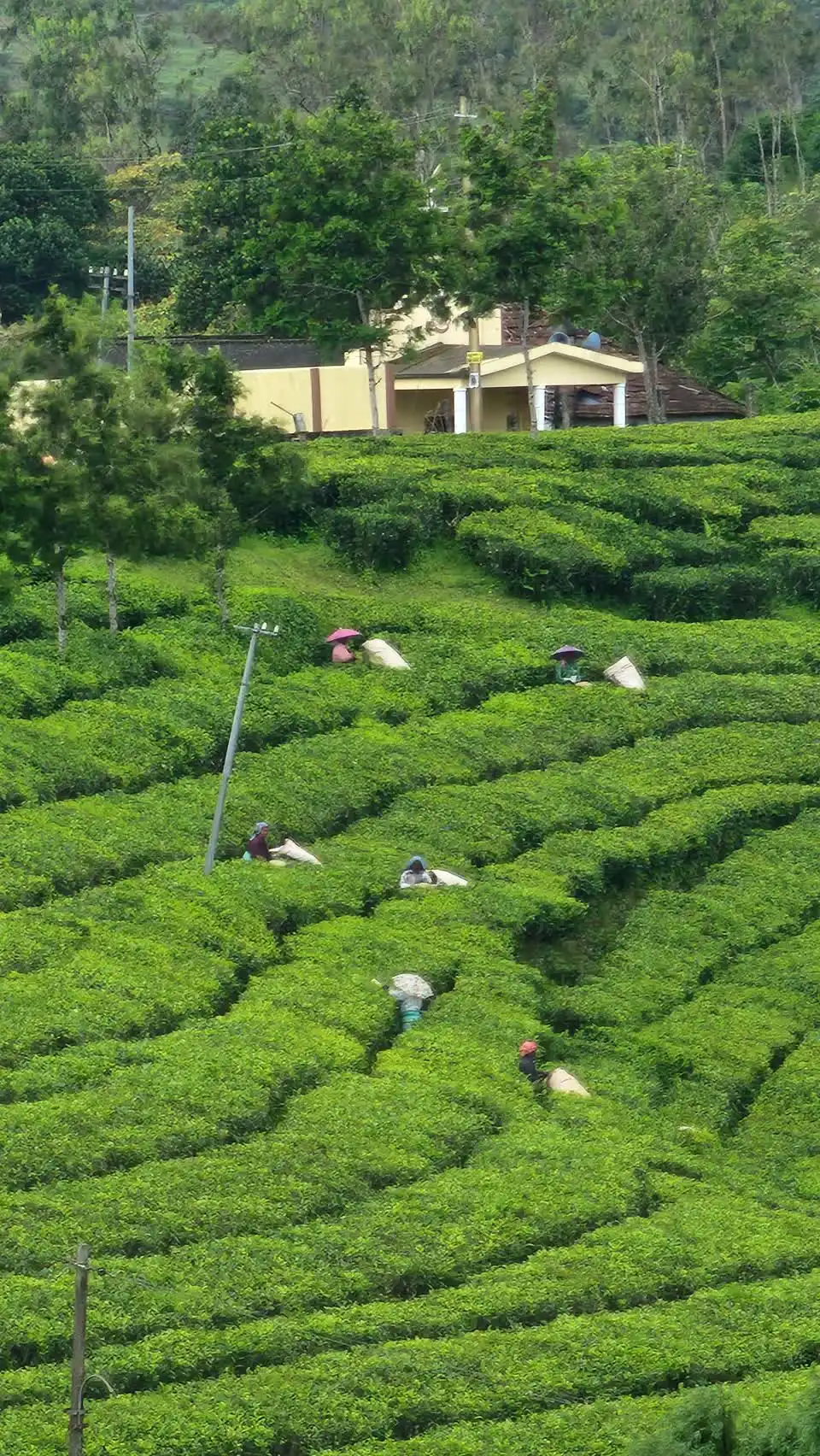 Idukki