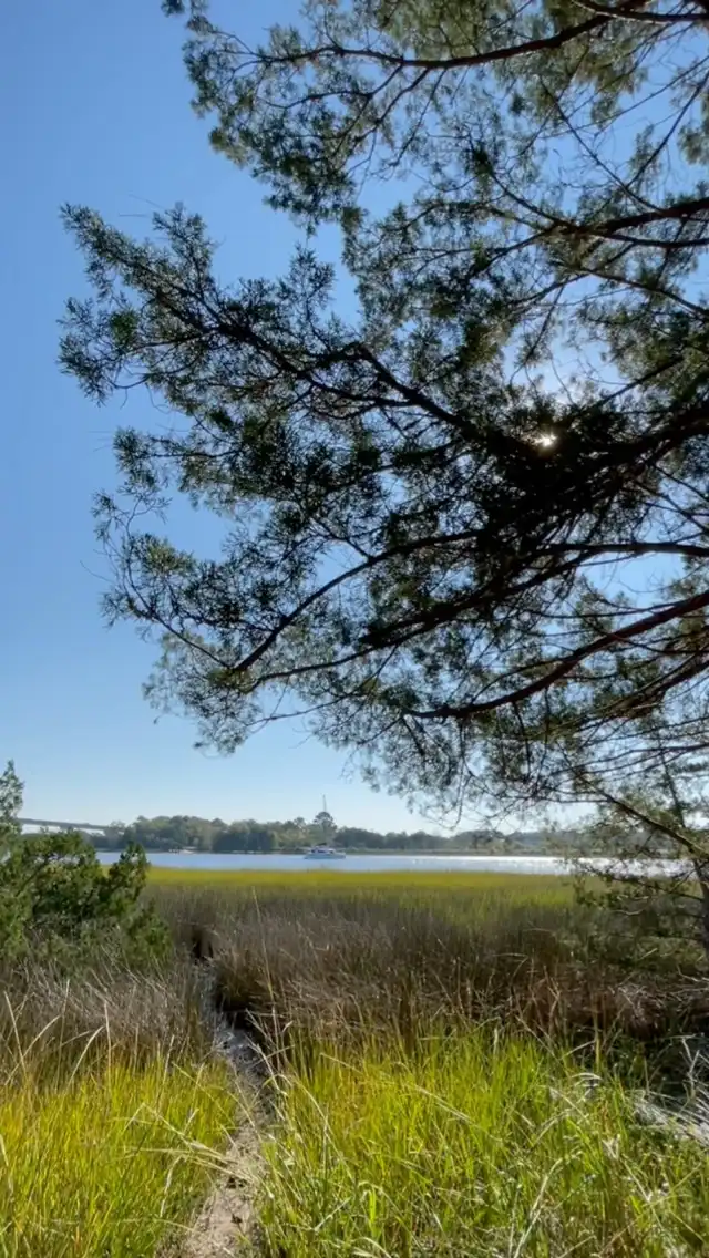 Photo of Johns Island