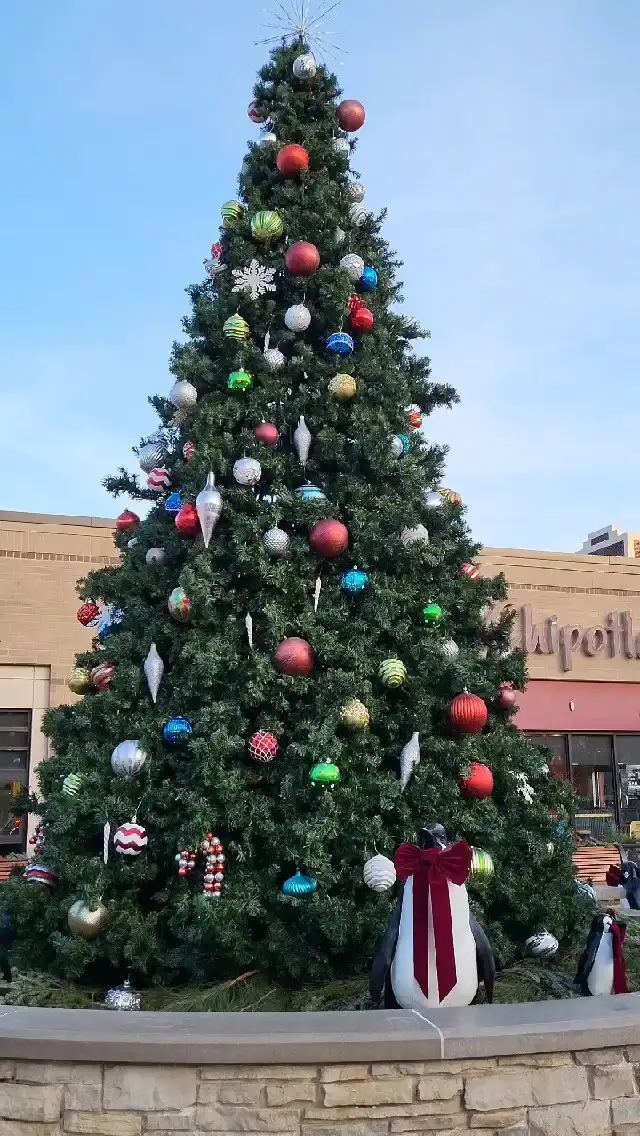 Photo of Elmhurst