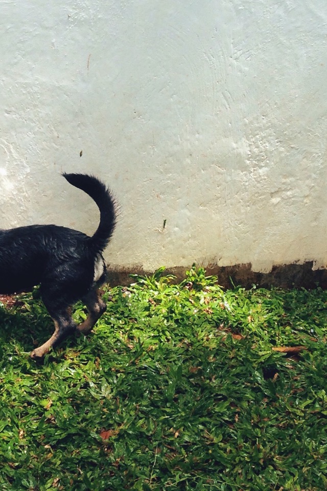 Anom Farid S Anomfarid Story On Steller