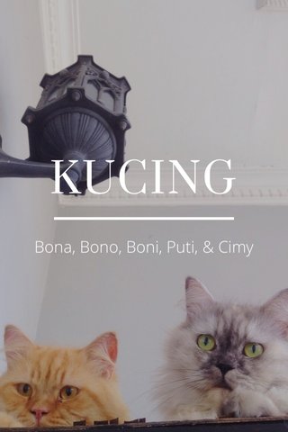 Awas Anjing Galak Collection By Syaiful Anwar Syaifulnawar On