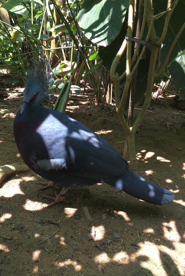 Steller Create Beautiful Social Media Stories