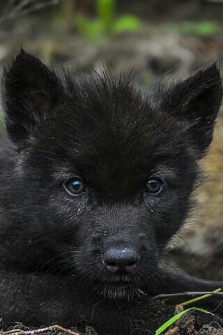 Steller Create Beautiful Social Media Stories