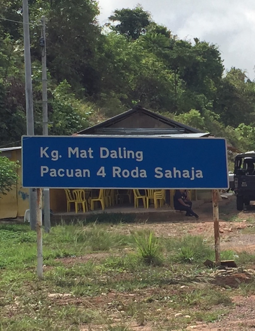 Steller Create Beautiful Social Media Stories