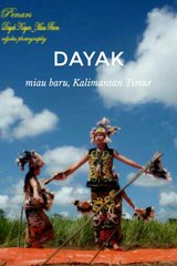 Steller Create Beautiful Social Media Stories