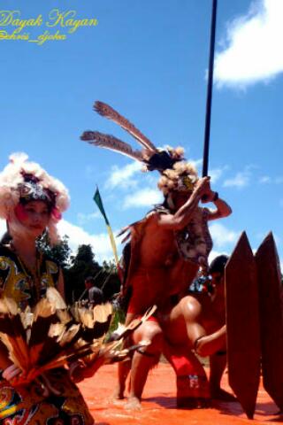 Steller Create Beautiful Social Media Stories