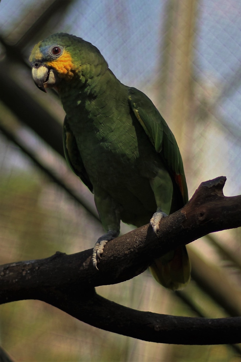 Steller Create Beautiful Social Media Stories