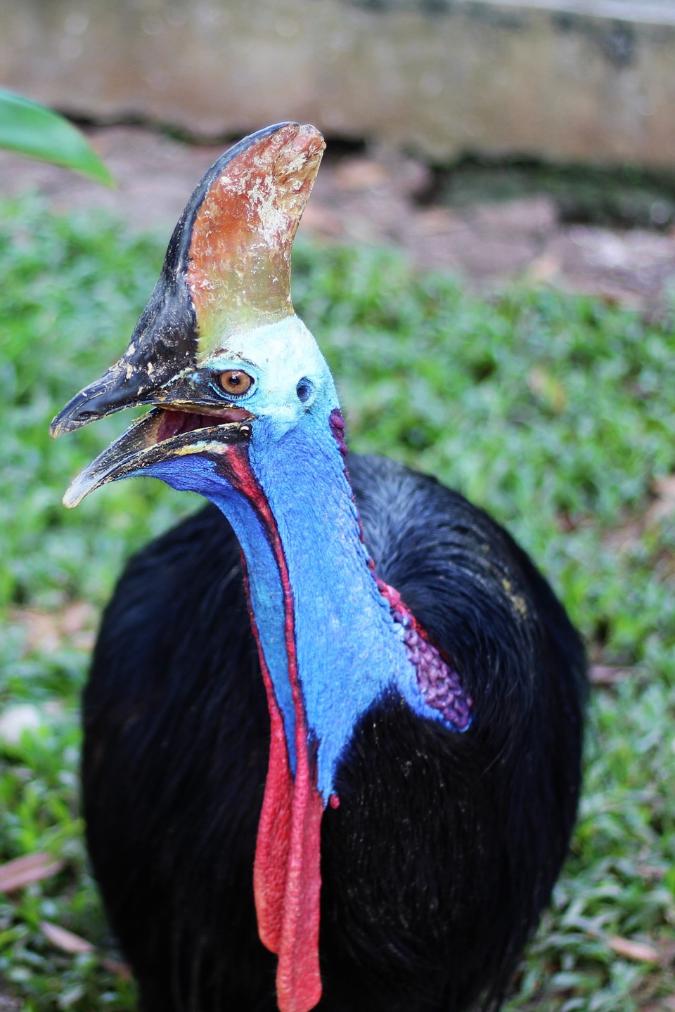 Steller Create Beautiful Social Media Stories