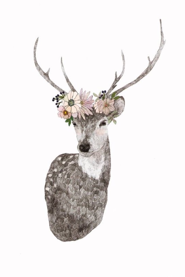 Steller Create Beautiful Social Media Stories