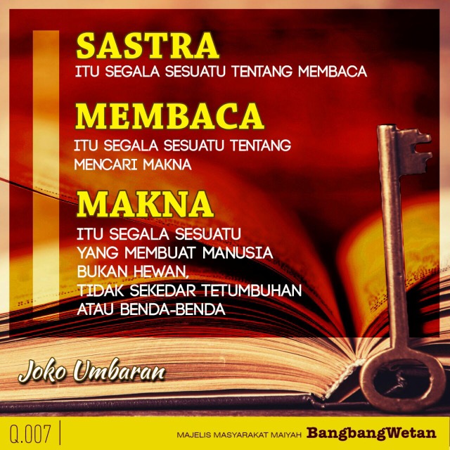 Steller Create Beautiful Social Media Stories