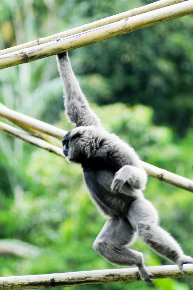 Steller Create Beautiful Social Media Stories