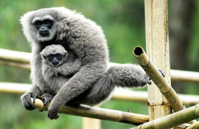 Steller Create Beautiful Social Media Stories