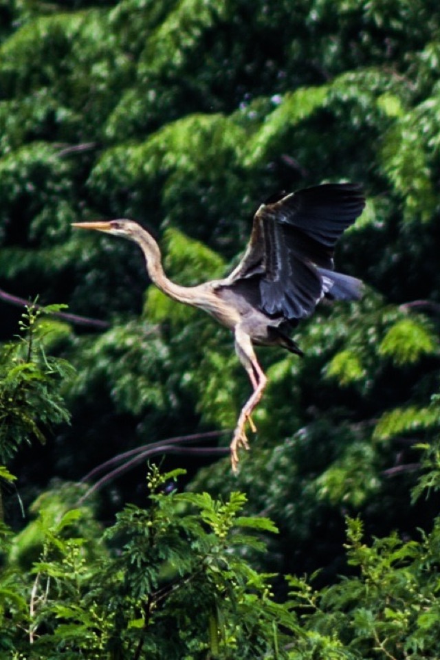 Steller Create Beautiful Social Media Stories