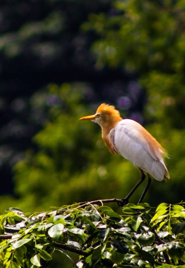 Steller Create Beautiful Social Media Stories