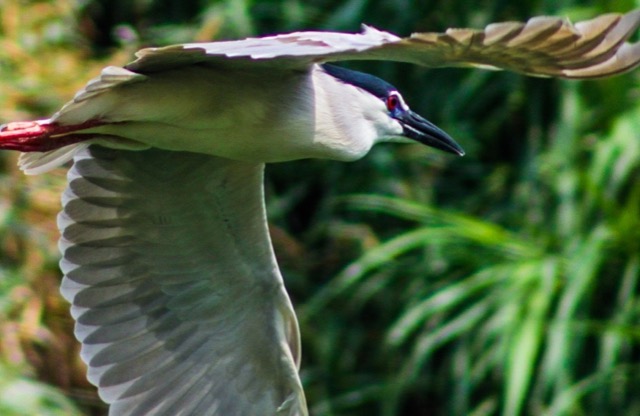 Steller Create Beautiful Social Media Stories