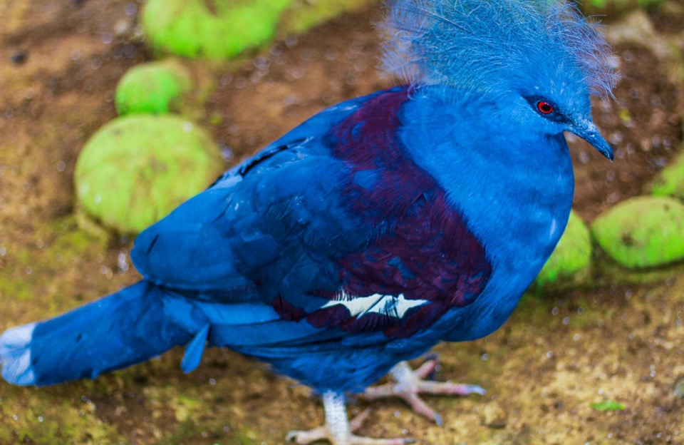 Steller Create Beautiful Social Media Stories