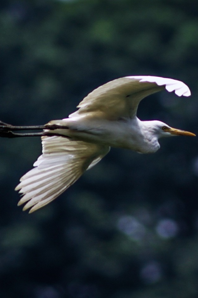 Steller Create Beautiful Social Media Stories