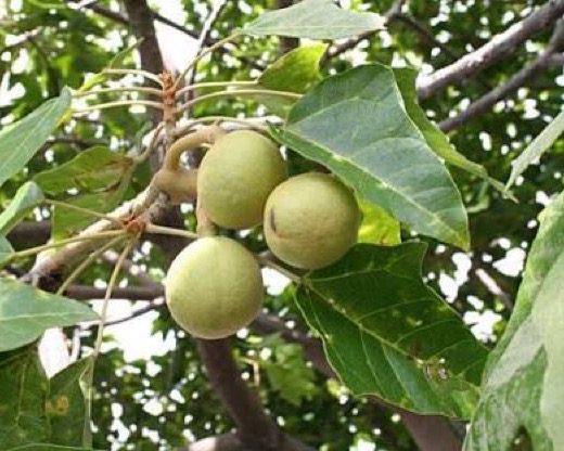 Steller Create Beautiful Social Media Stories