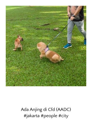 Cfd Stories On Steller